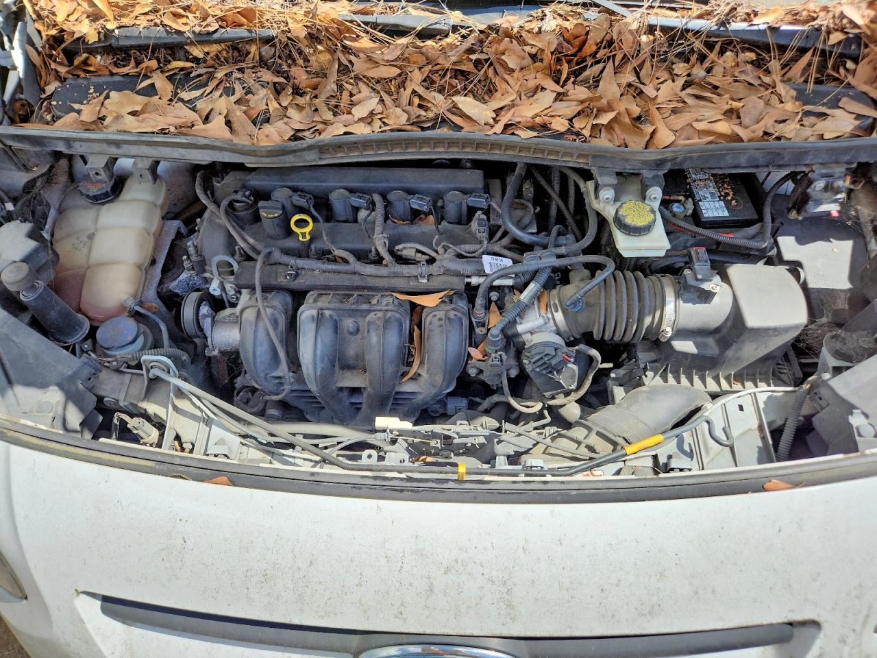 Ford Transit Xl