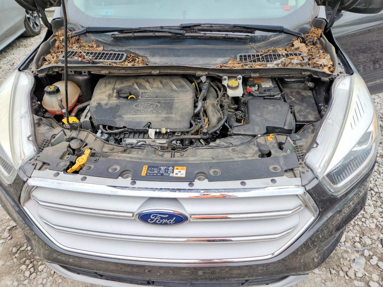 Ford Escape Sel