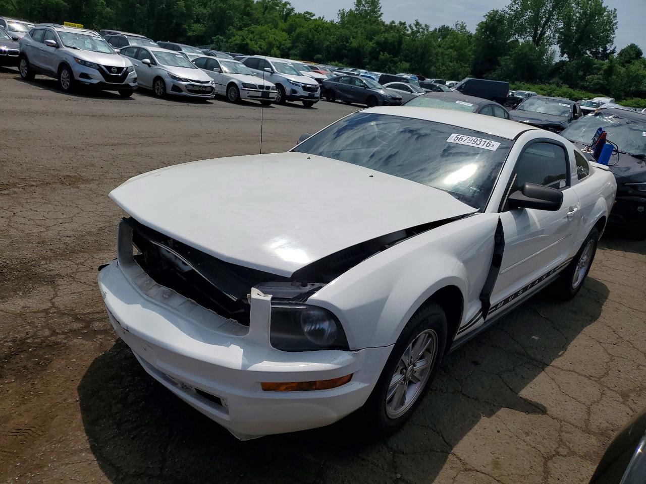 Salvage Ford Mustang Image