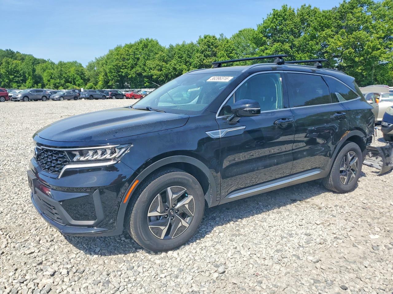 Salvage Kia Sorento Image