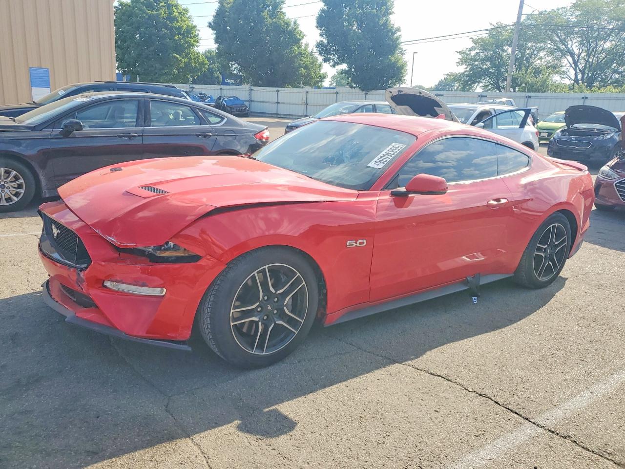 Salvage Ford Mustang Image