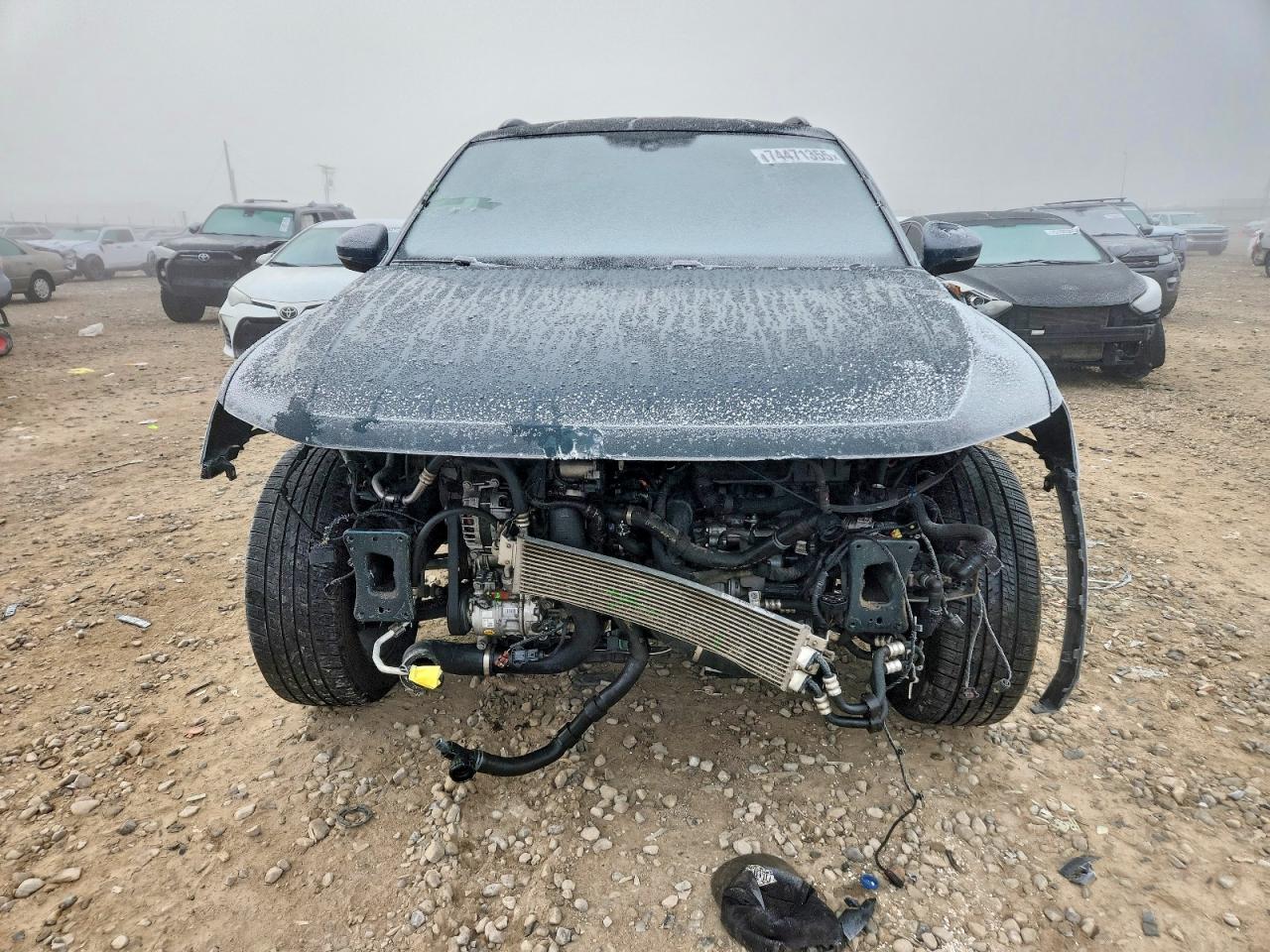 Volkswagen Tiguan Se