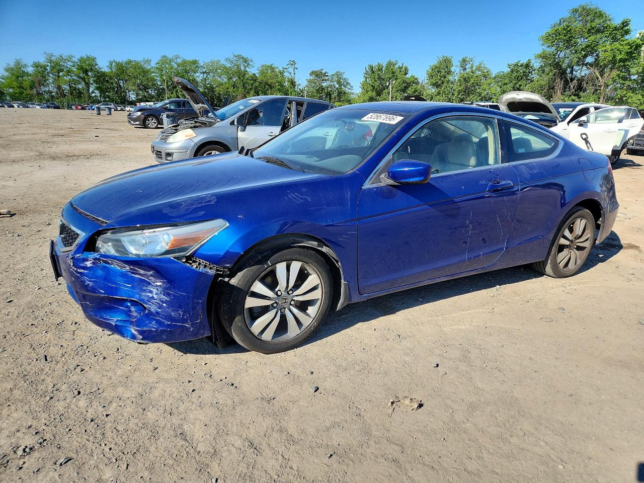 Salvage Honda Accord Image