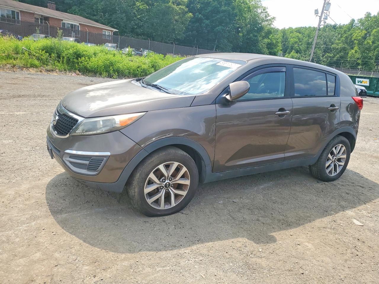 Salvage Kia Sportage Image