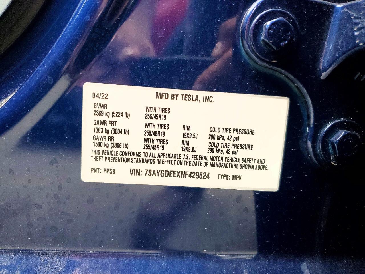 Tesla Model Y