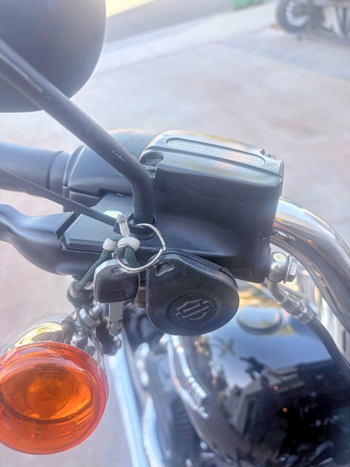 Harley-Davidson Flsb