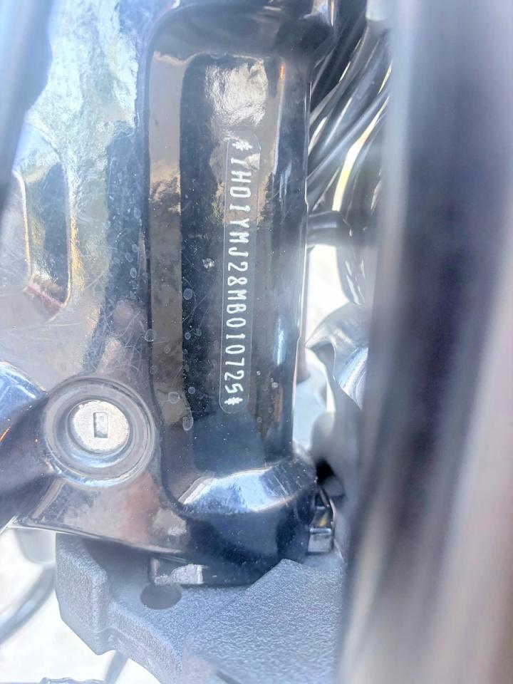 Harley-Davidson Flsb