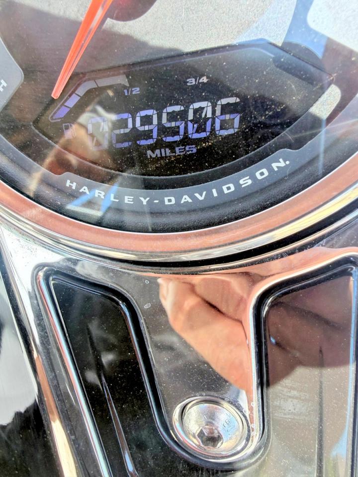 Harley-Davidson Flsb