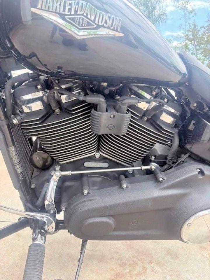 Harley-Davidson Flsb