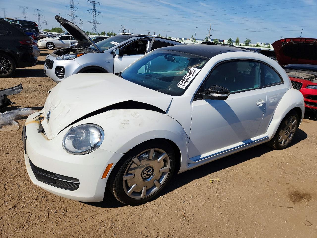 Salvage Volkswagen Beetle Image