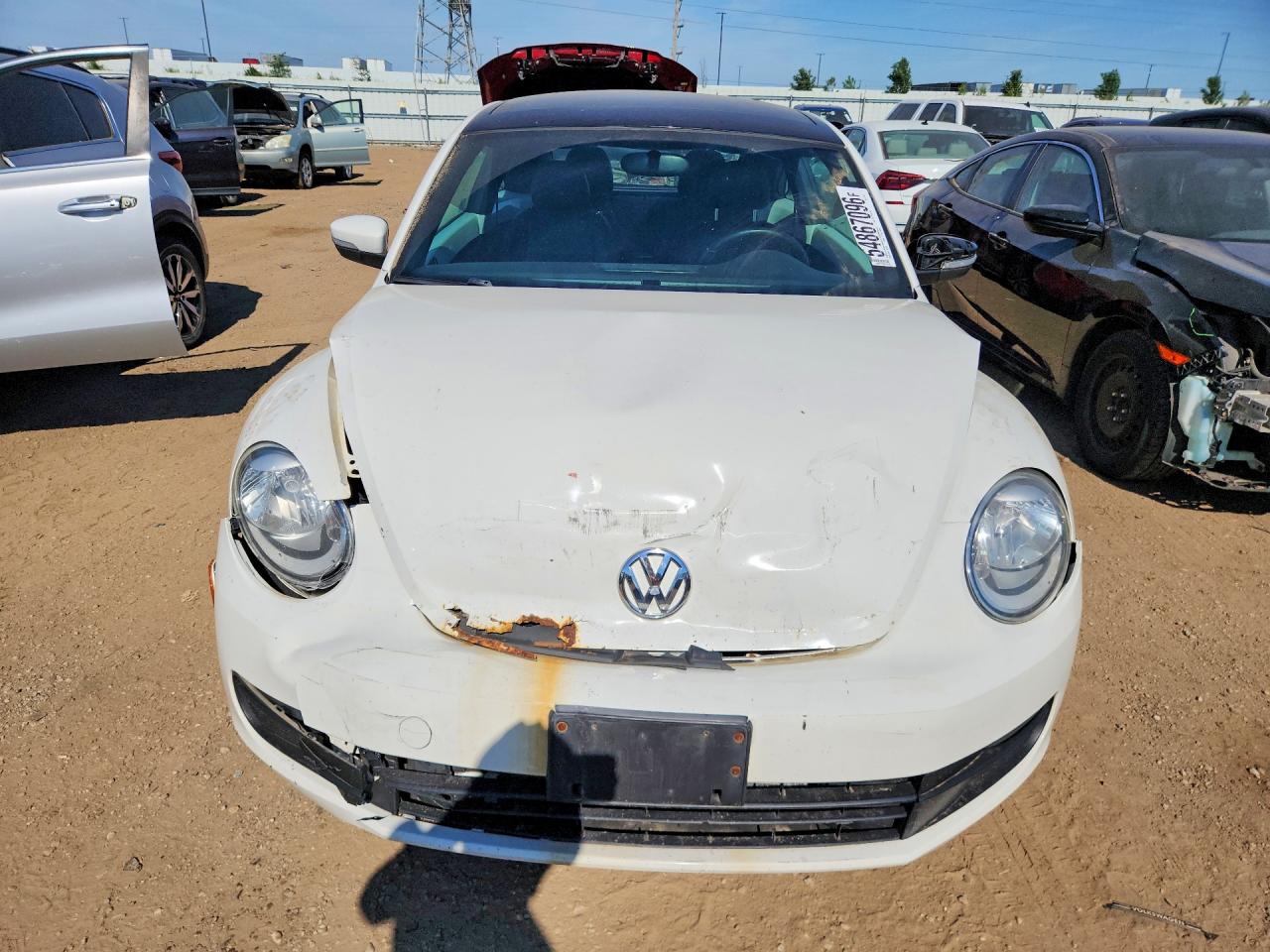 Volkswagen Beetle