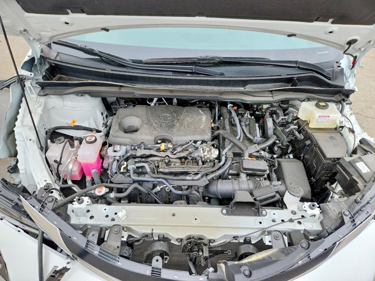 Toyota Sienna Xle 8-passenger