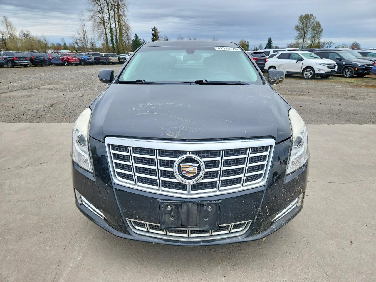 Cadillac XTS Luxury Collection