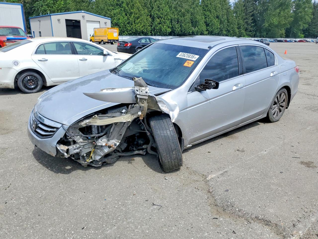 Salvage Honda Accord Image