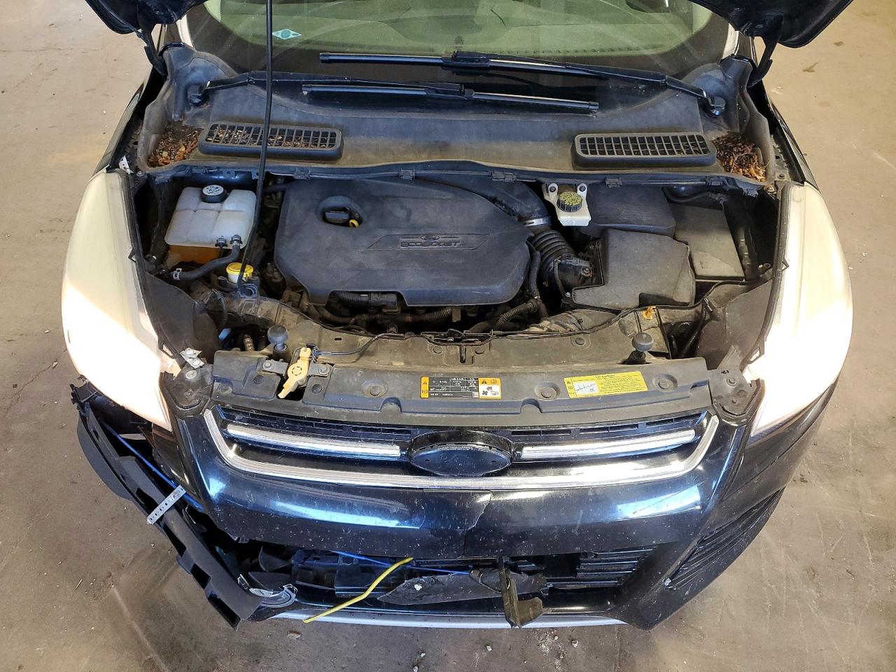 Ford Escape Sel
