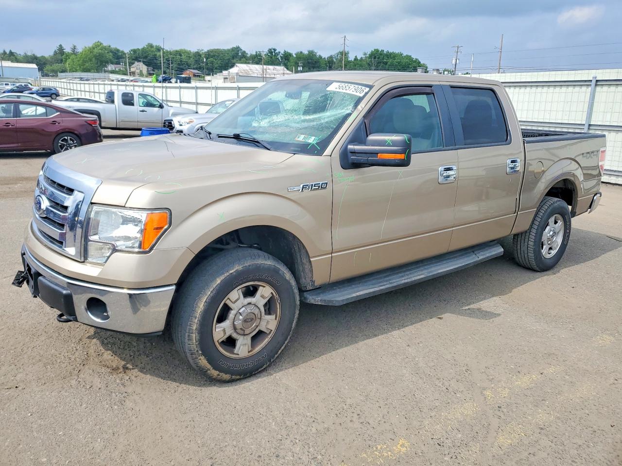 Salvage Ford F-150 Image