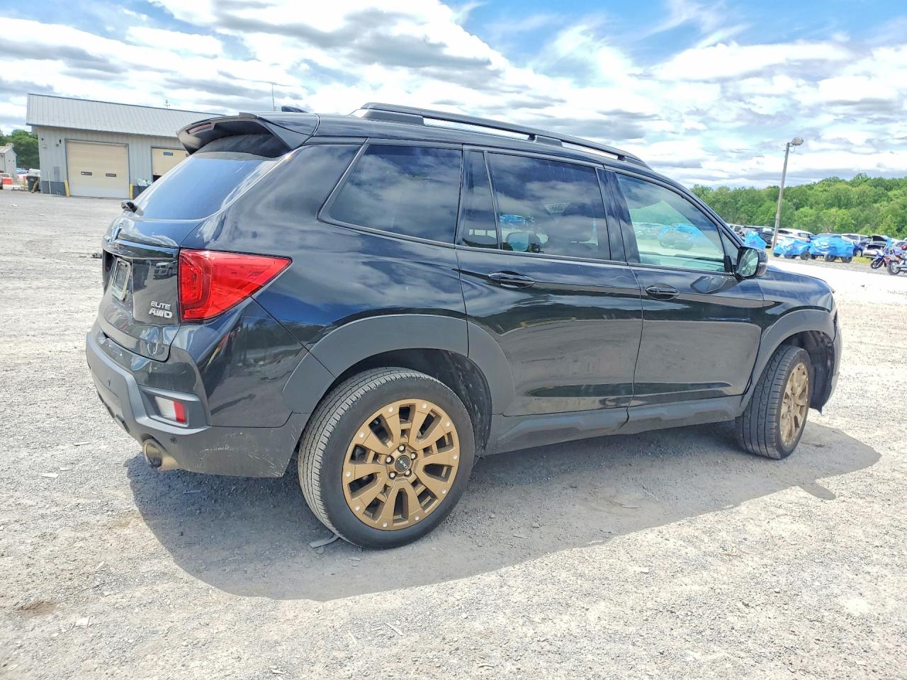 Honda Passport Elite