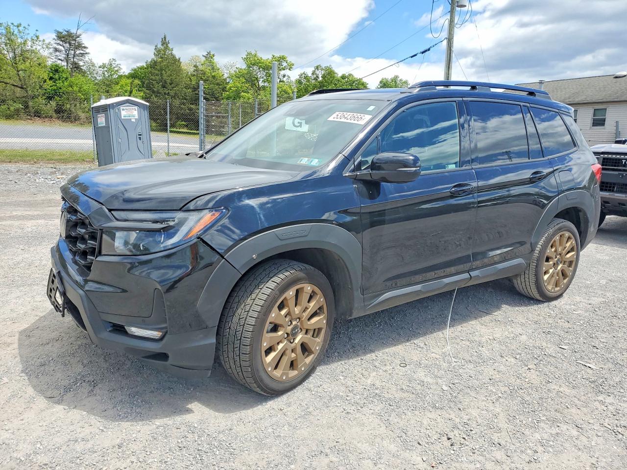 Salvage Honda Passport Image