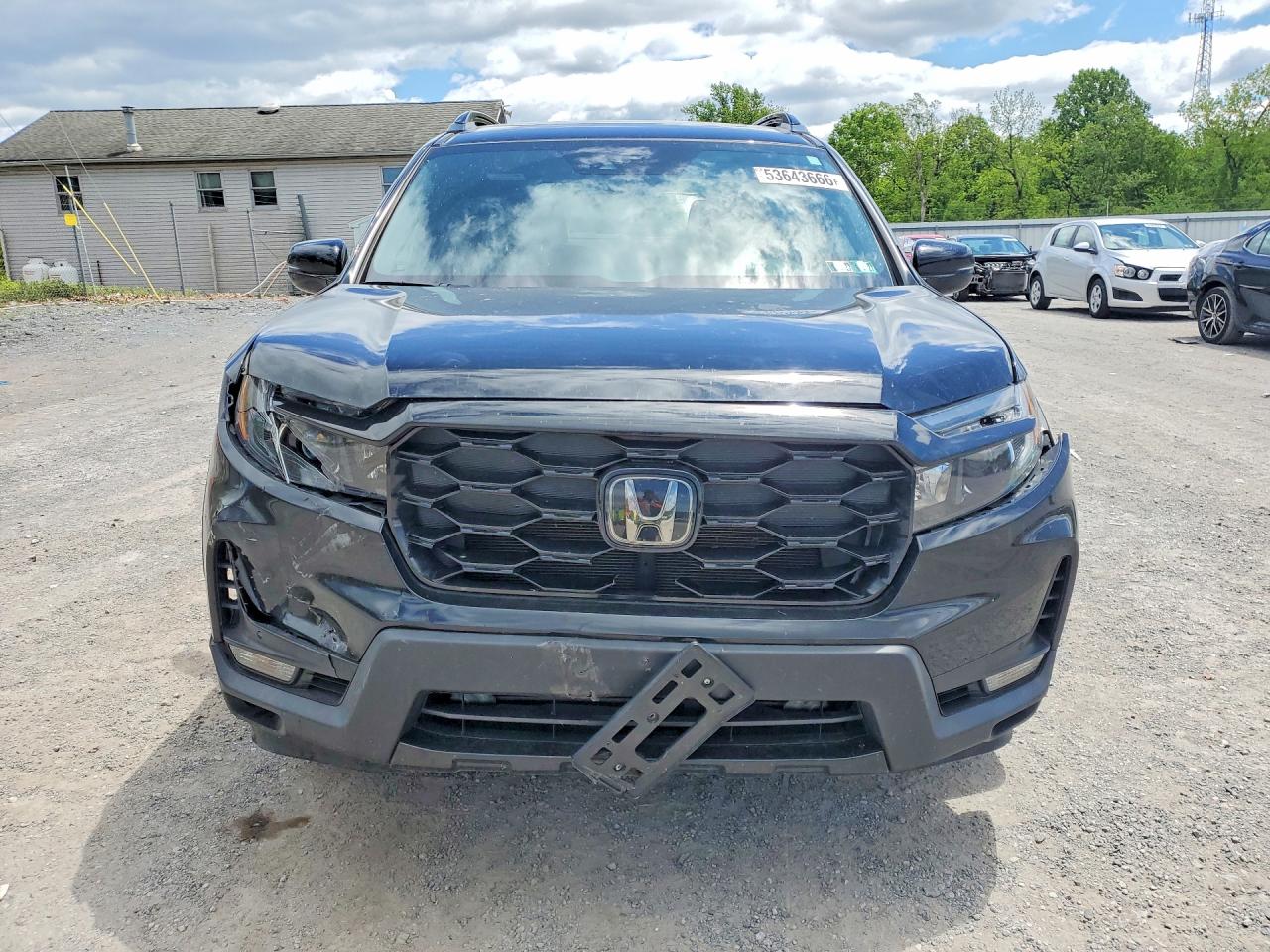 Honda Passport Elite