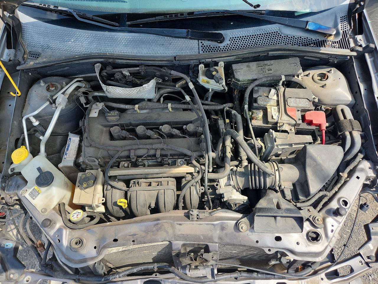 Ford Focus Sel