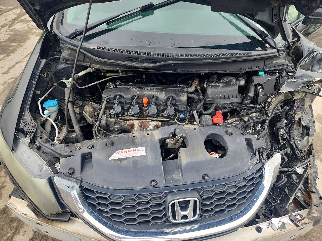 Honda Civic Se