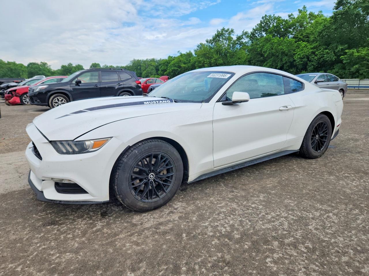 Salvage Ford Mustang Image