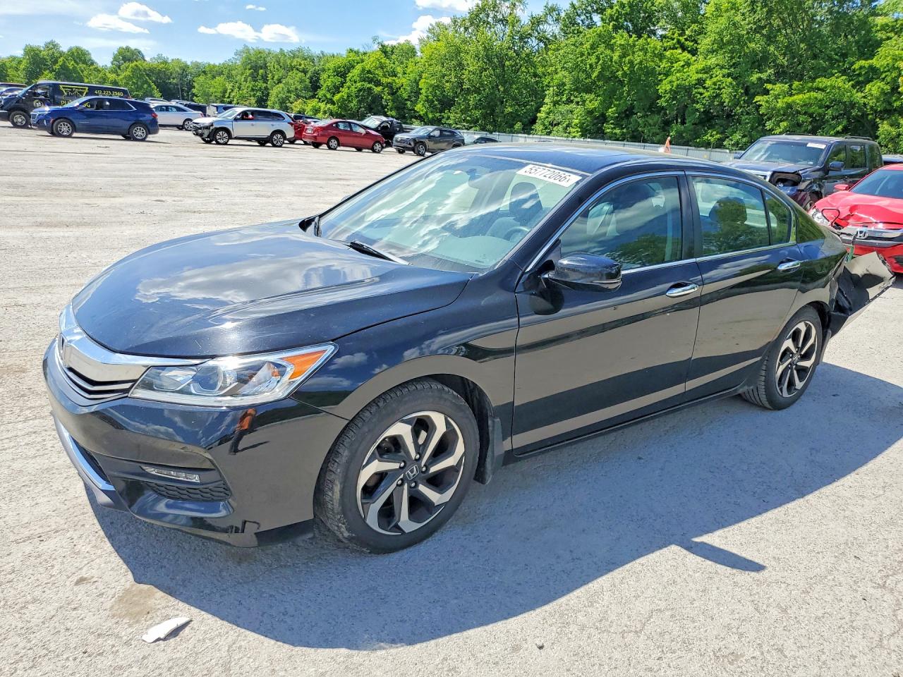 Salvage Honda Accord Image