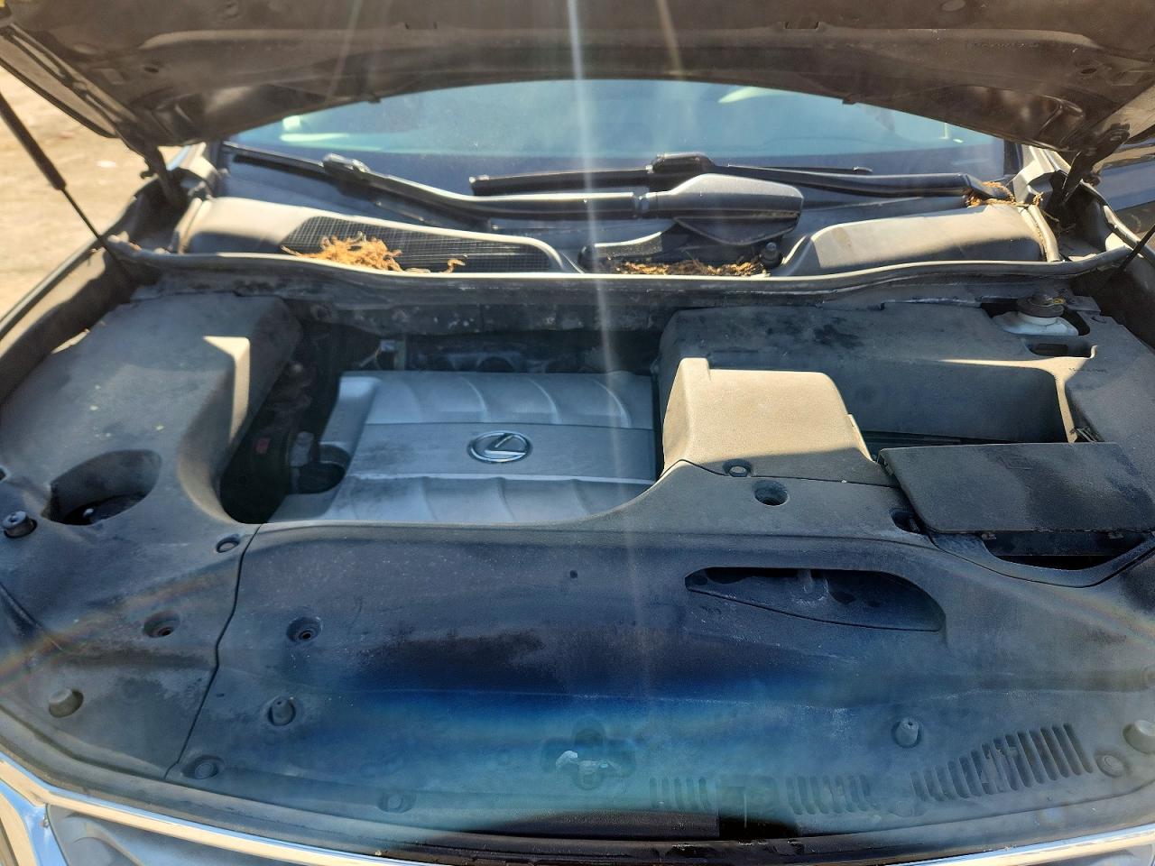 Lexus RX Base