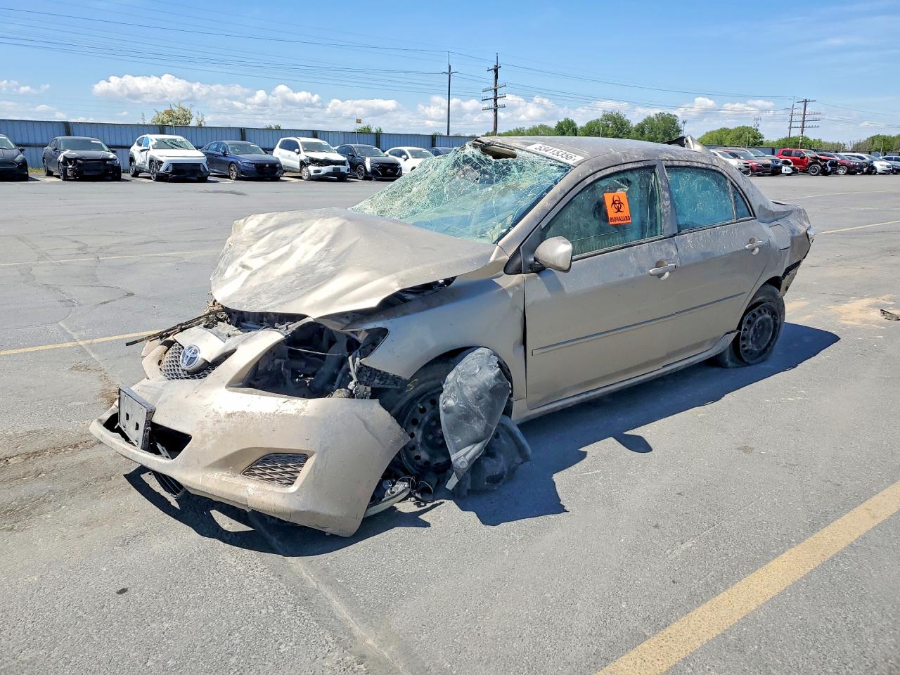 Salvage Toyota Corolla Image