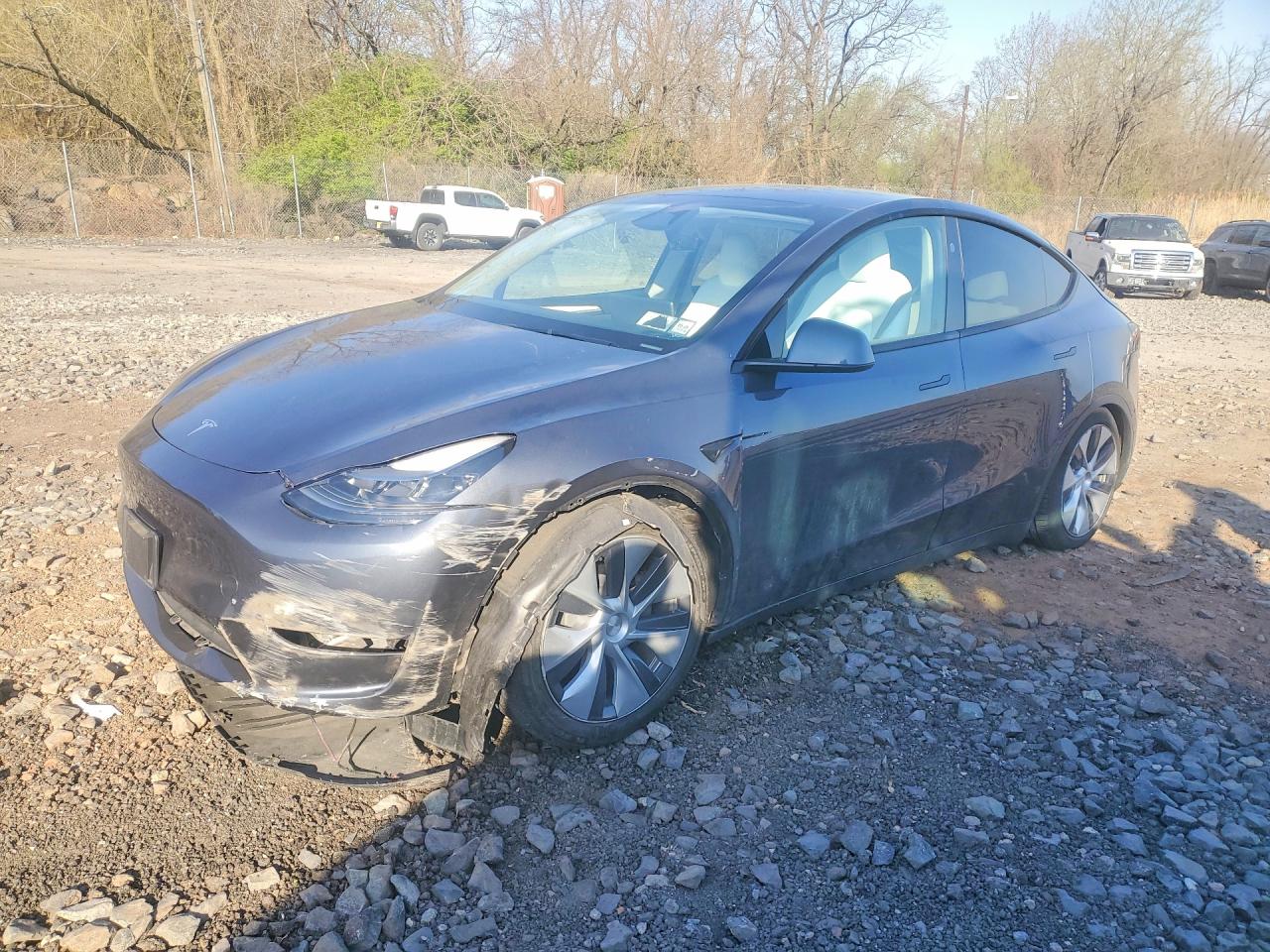 Salvage Tesla Model Y Image