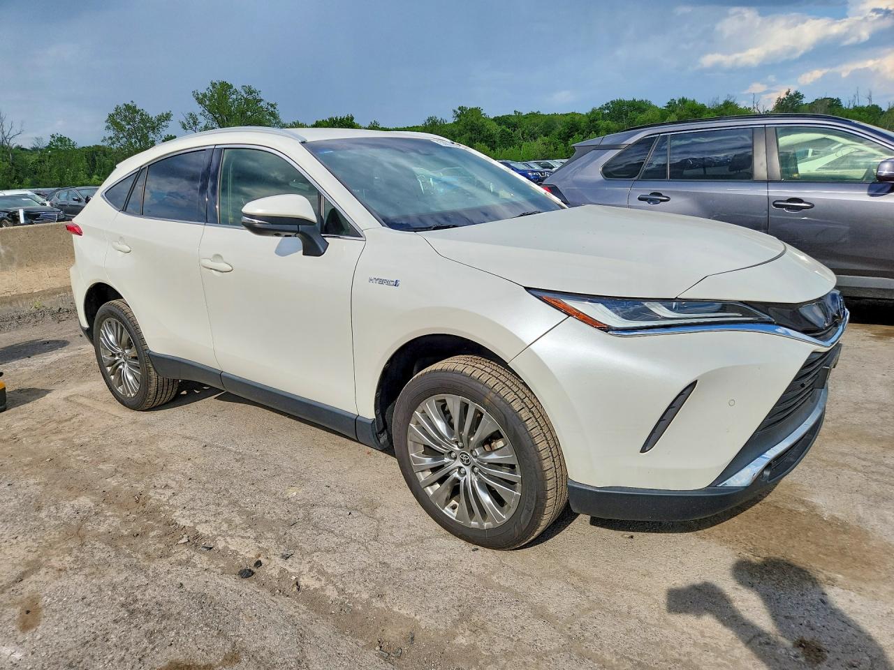 Toyota Venza Limited
