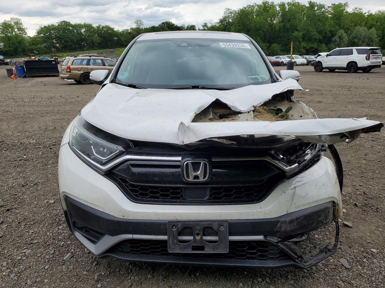 Honda Crv Exl