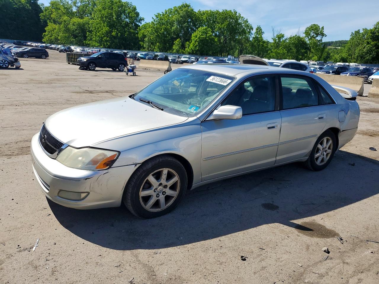 Toyota Avalon Xls