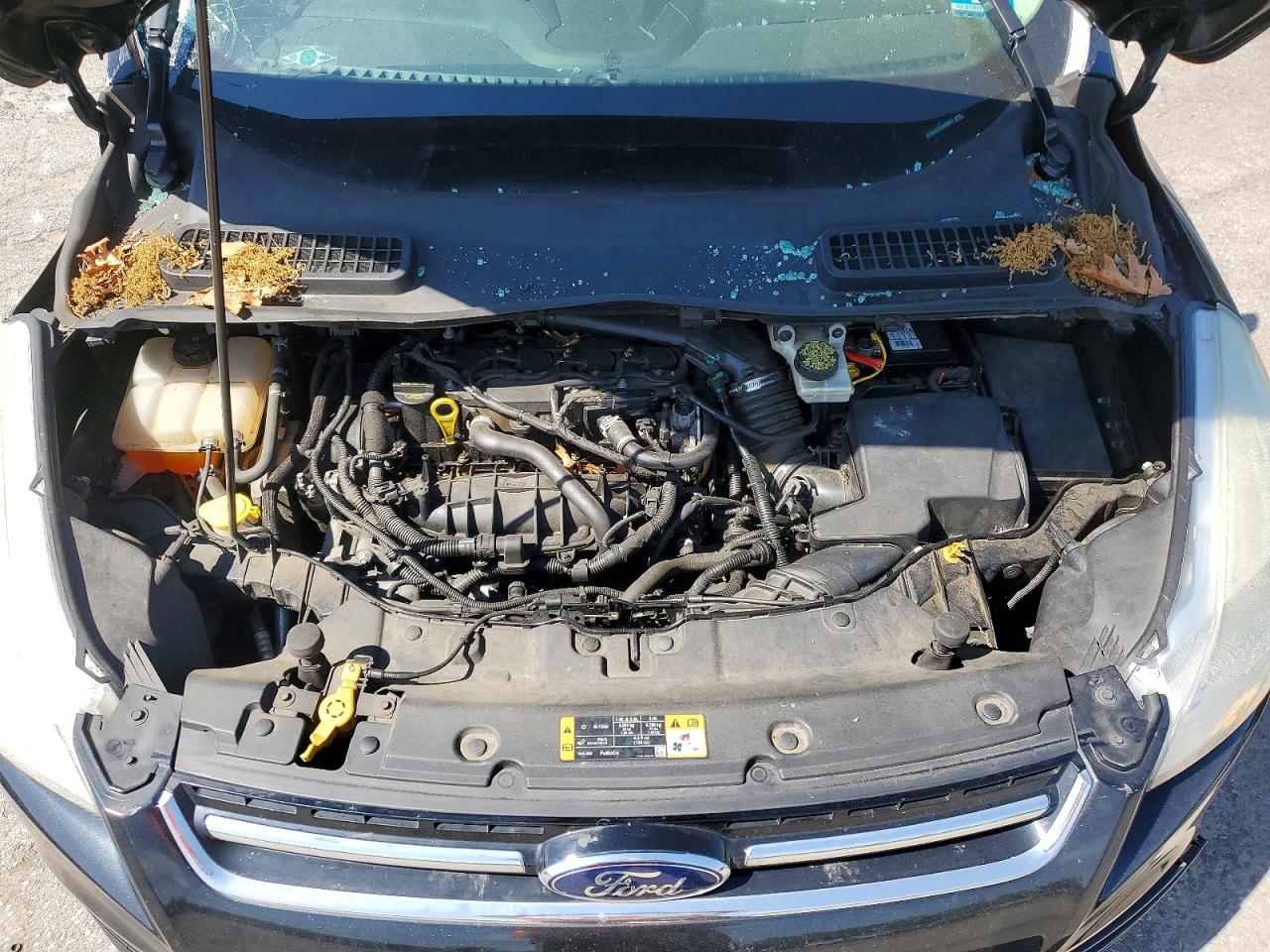 Ford Escape Titanium