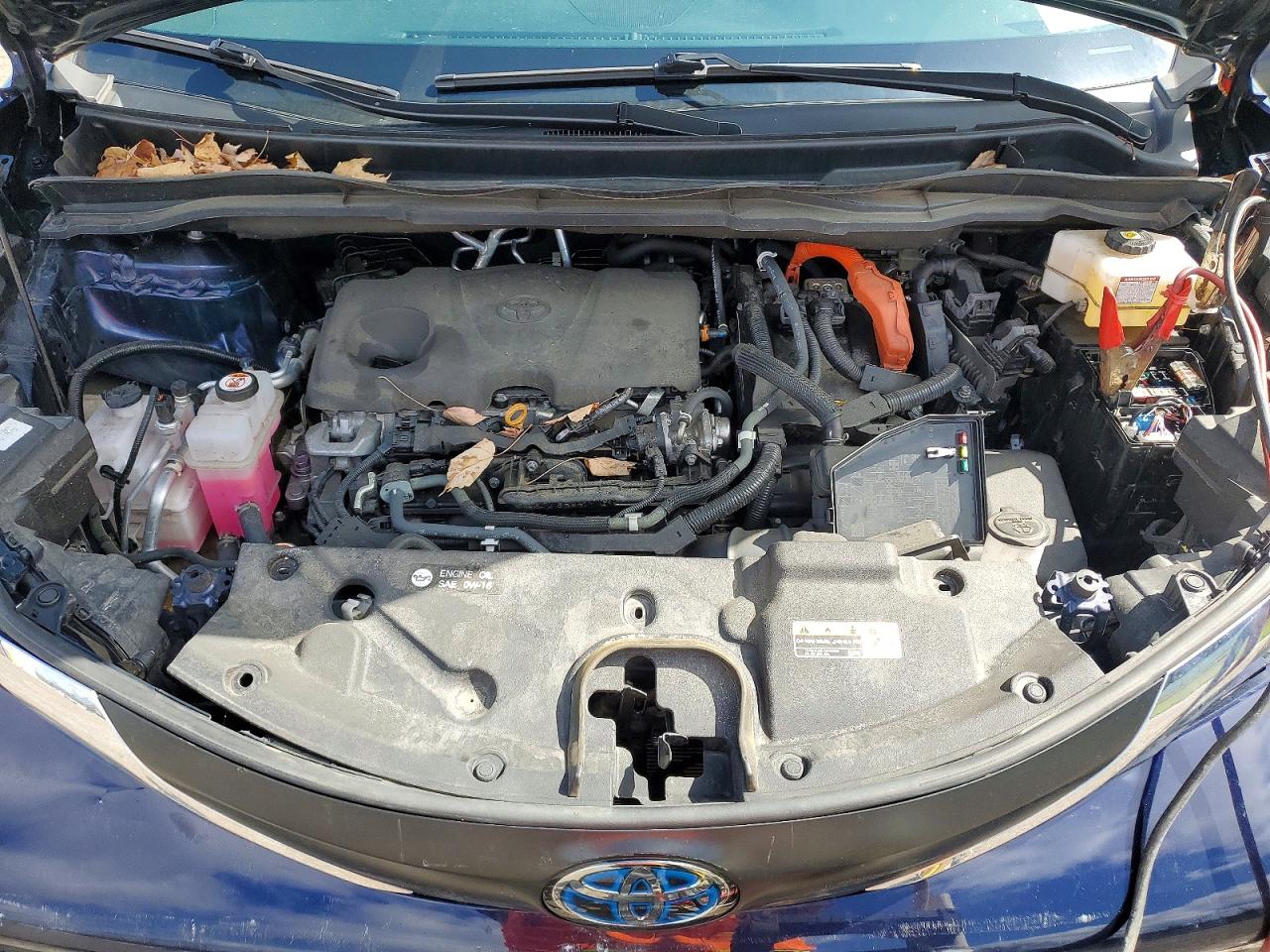 Toyota Sienna Xle