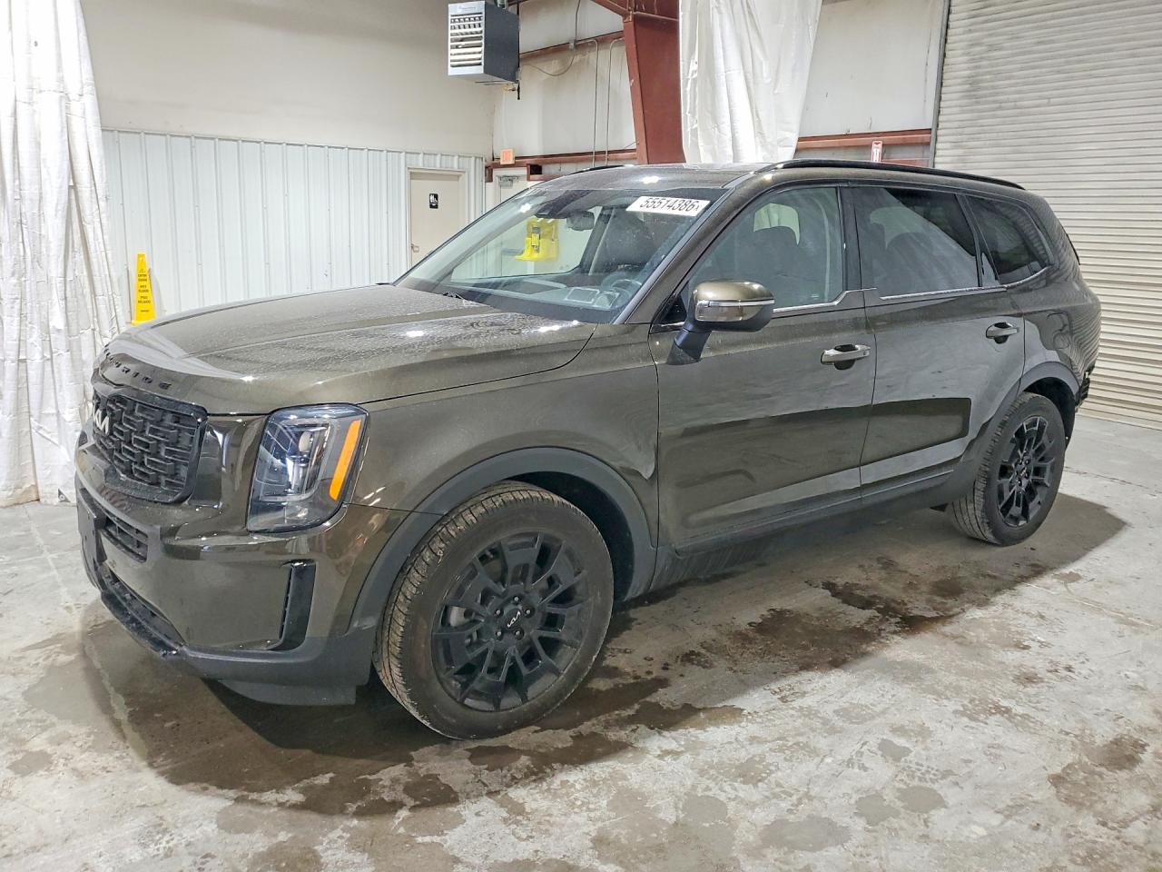 Salvage Kia Telluride Image