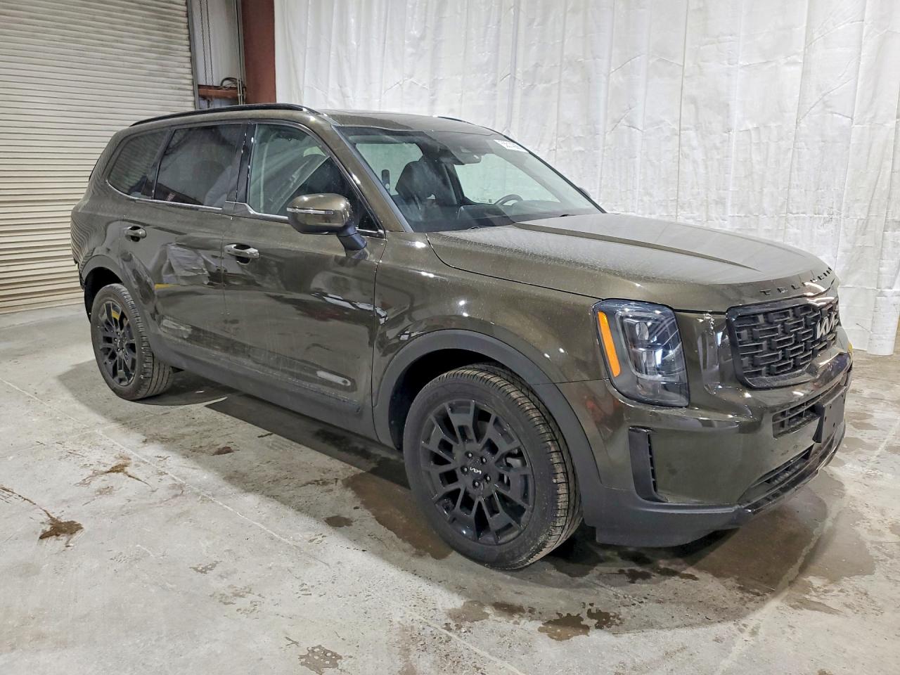 Kia Telluride Ex