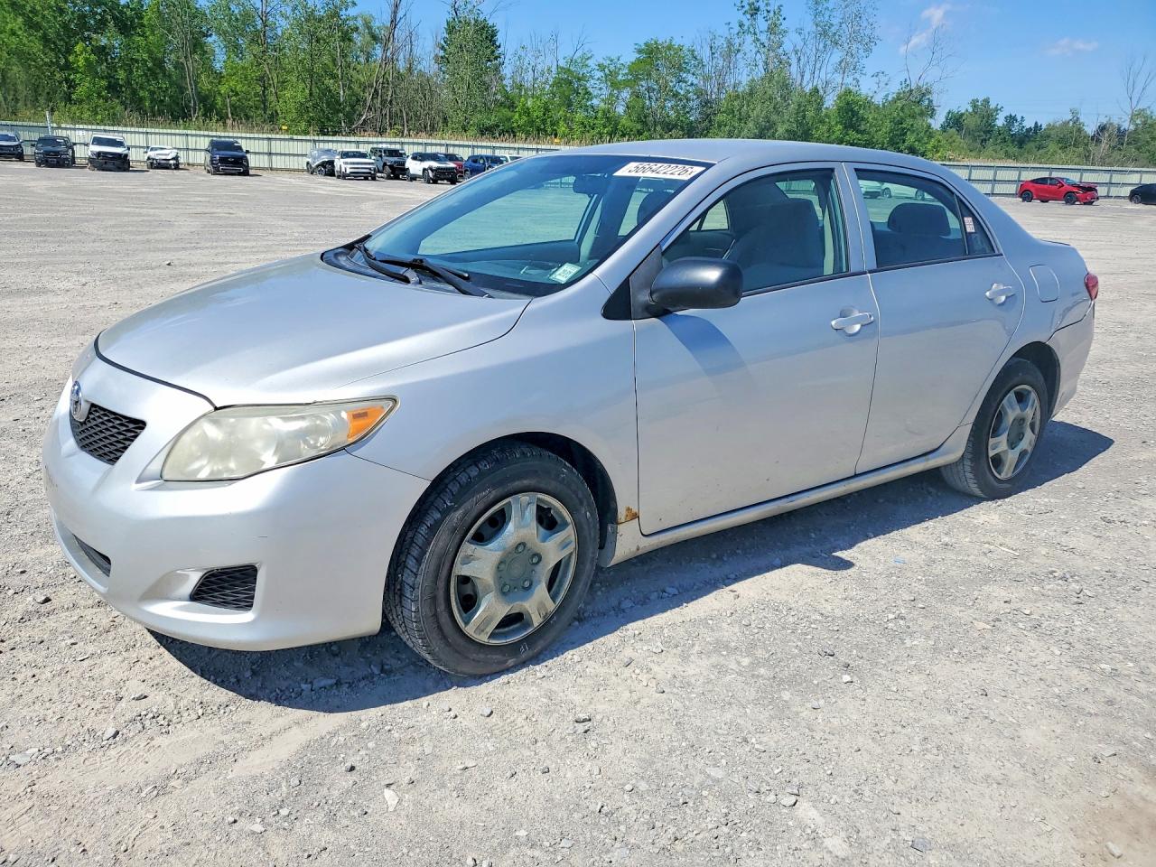 Salvage Toyota Corolla Image