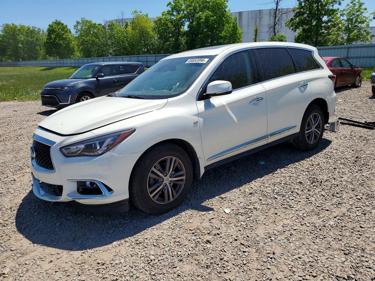 Salvage INFINITI Qx Image