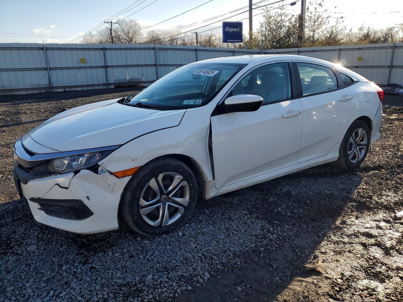 Salvage Honda Civic Image