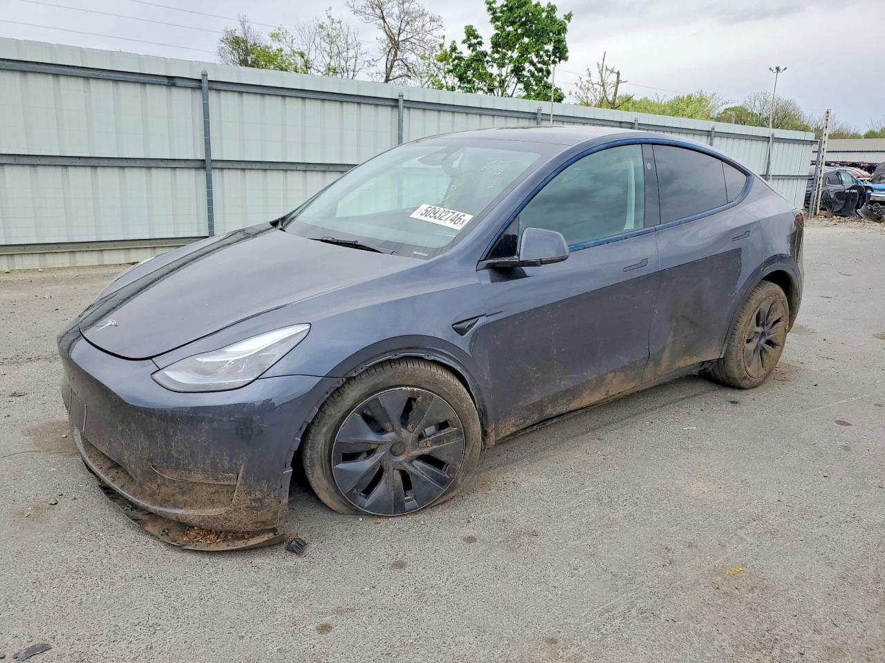 Salvage Tesla Model Y Image