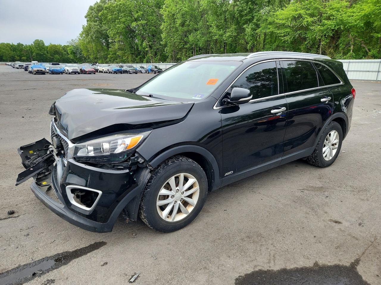 Salvage Kia Sorento Image