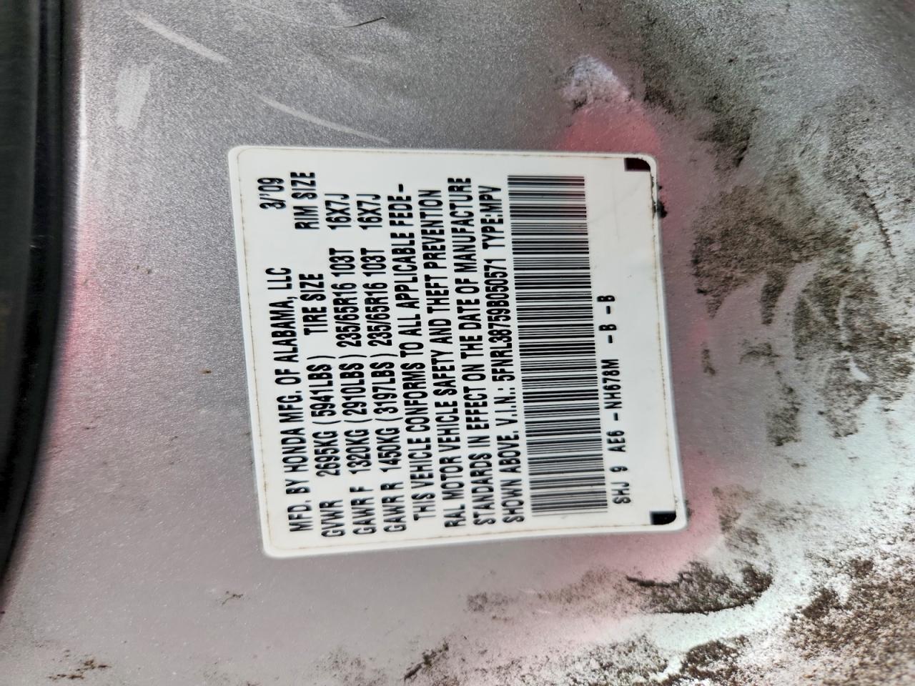 Honda Odyssey Exl