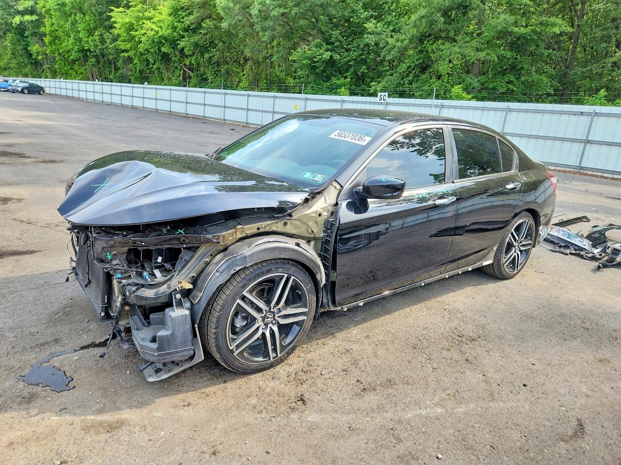 Salvage Honda Accord Image