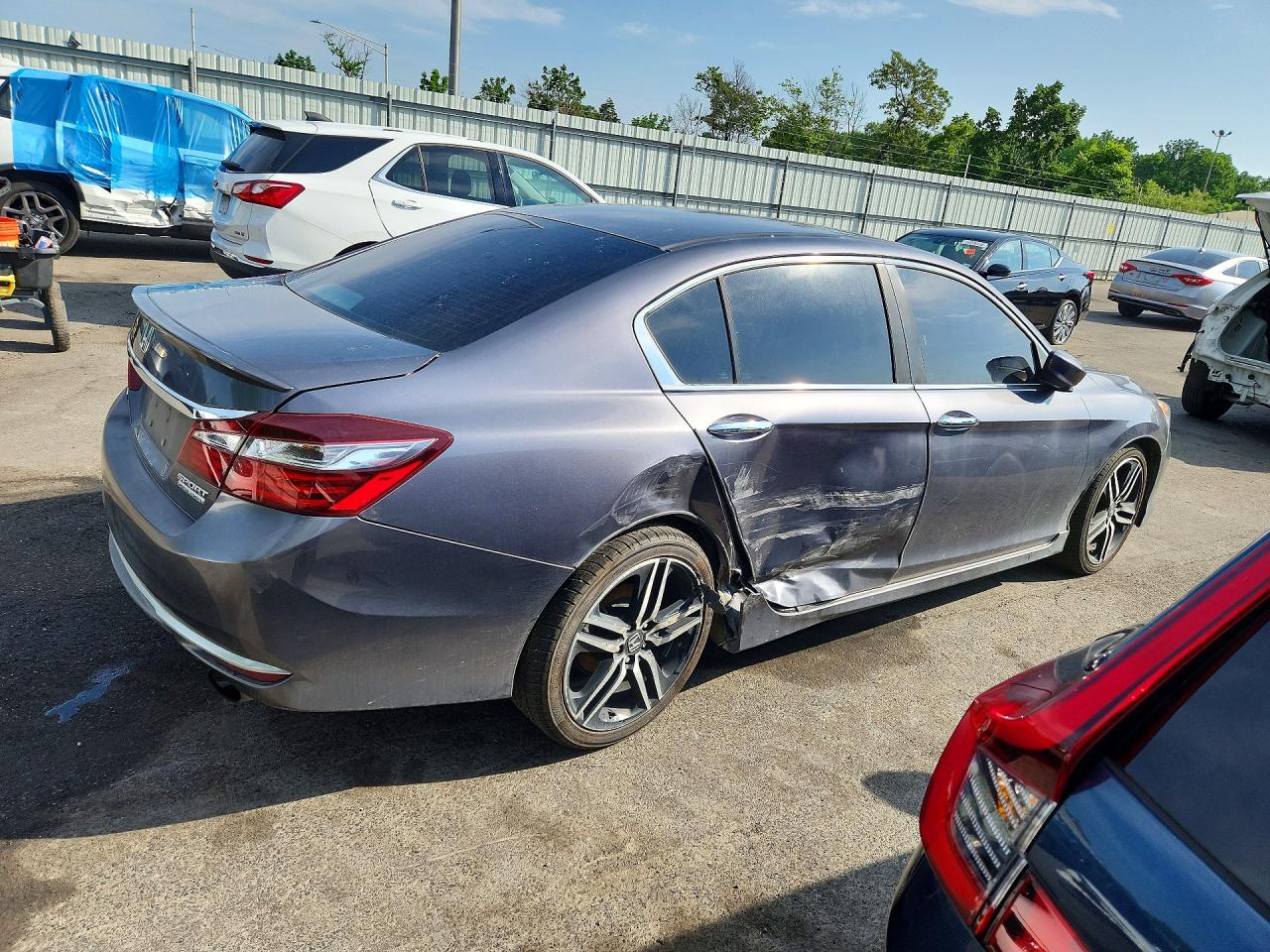 Honda Accord Sport Special Edition
