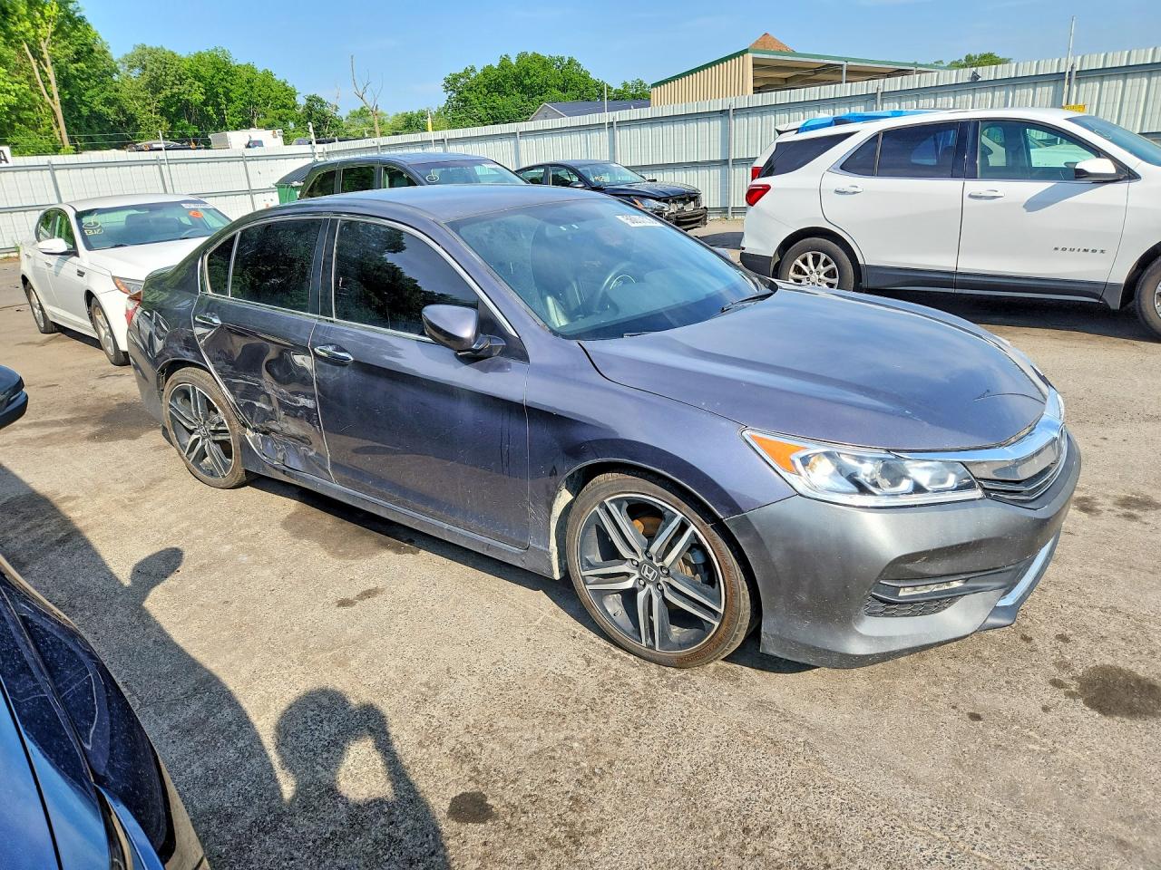 Honda Accord Sport Special Edition