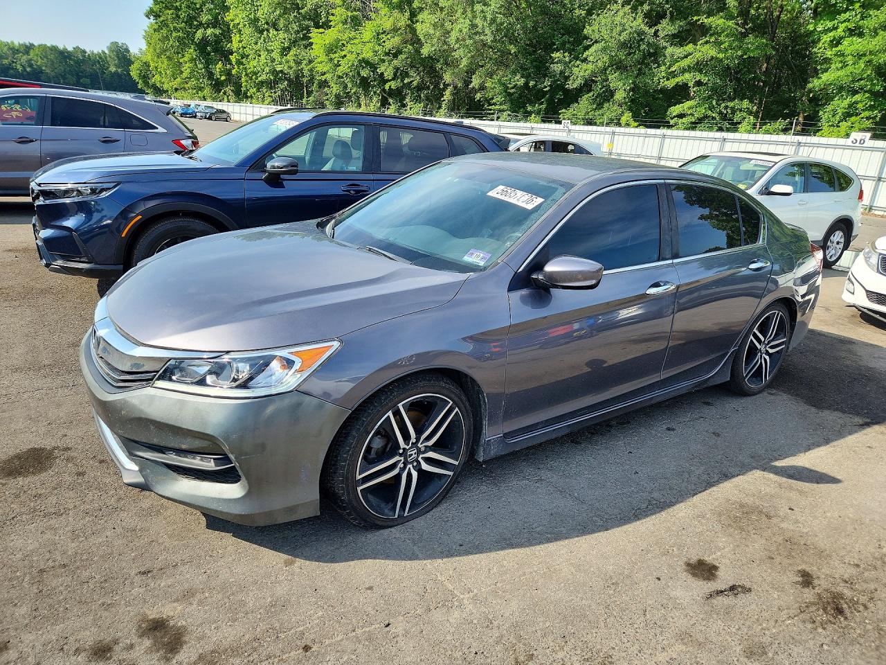 Salvage Honda Accord Image