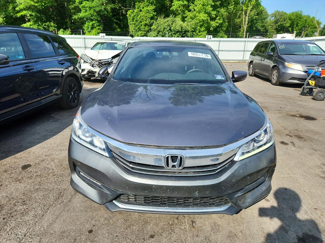 Honda Accord Sport Special Edition