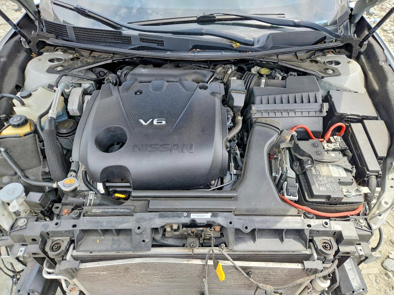 Nissan Maxima Sv