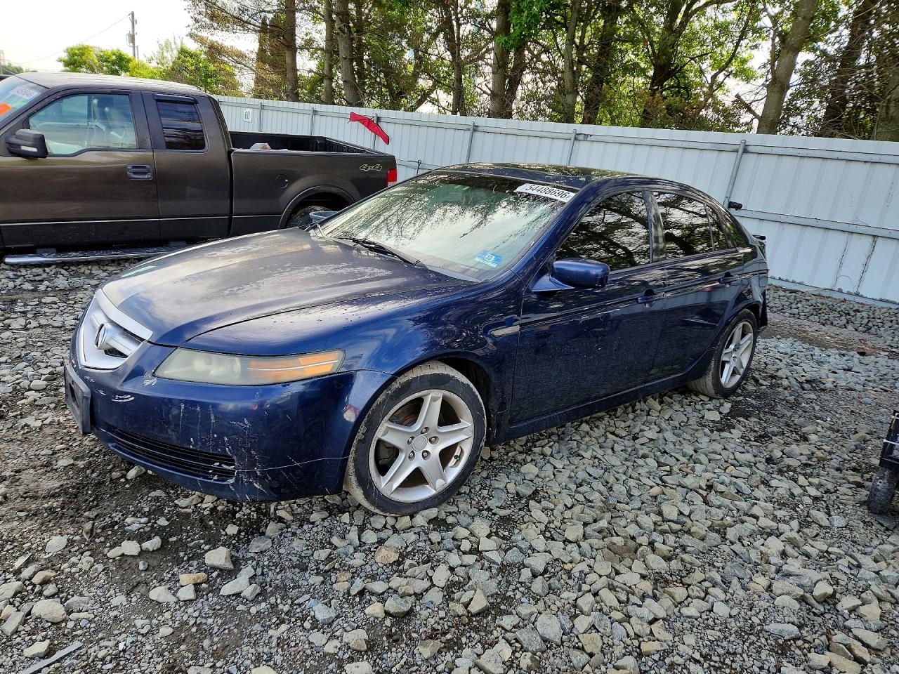 Salvage Acura TL Image